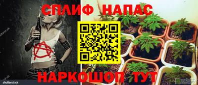 дмт Усть-Джегута