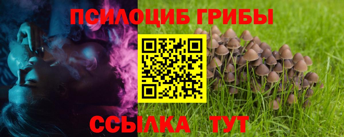 Минусинск  Псилоцибиновые грибы ЛСД  Вход с VPN 